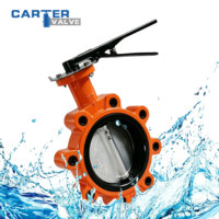 Kohlenstoffstahl-Absperrklappe WCB WCC Typ Elektrisches Schneckengetriebe Zentrische EPDM NBR Dichtung Wasser Öl Gas Klasse 150 API609 ASME OEM