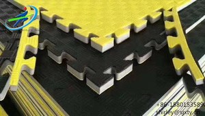 Tapis de jeu de judo Tatami en mousse EVA de haute qualité pour enfants et enfants - Product Image 3