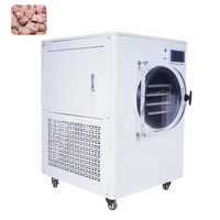 Machine de lyophilisation sous vide de laboratoire de paillasse de grande capacité Lyophilisateur Piloti pour labb