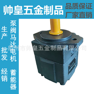 Bomba de paletas PV2R1 PV2R1-19-F-RAA-4326C con instalación de brida, bomba hidráulica accionada por motor - Product Image 2