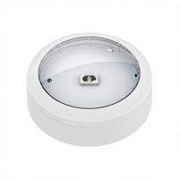 Neue CE-Zertifizierte Lithium-Batterie Kompakte IP65 Notfall-LED-Deckenleuchte 3 Stunden Notbeleuchtungszeit SMD LED 6000K Tageslicht