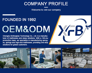 Thân Thiện Với Môi Bộ Nhớ Bọt Túi Mùa Xuân Nệm Cán Đóng Gói Giường Trong Một Hộp Mềm Đôi Nệm Mạnh Mẽ Khung Tùy Chỉnh Cấu Trúc - Product Image 4