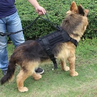 Arnés Táctico de Lujo Personalizado para Perro, Conjunto de Nailon 1000D con Patrón de Puntos, Liberación Rápida, Ajustable para Razas Gigantes/Medianas/Grandes