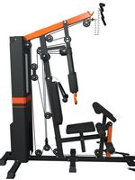 Gymnase compact à domicile avec pile de poids de 68 kg, équipement de fitness multi-gym à station unique pour usage domestique