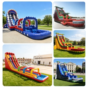 Tobogán Acuático Inflable Doble Personalizado y Económico para Niños con Soplador en Venta - Product Image 2