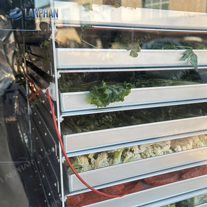 Thương mại phòng thí nghiệm lớn có kích thước 18 khay 50kg 60kg 70kg HFD-50plus lyophilizer đóng băng máy sấy máy thực phẩm trái cây dâu tây rau - Product Image 2