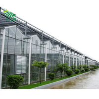 Serres hydroponiques pour tomates, serres multi-spans en verre trempé pour légumes