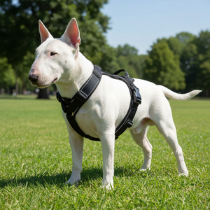 Harnais tactique réfléchissant de luxe pour chien avec lumières, anti-traction, rembourré doux, réglable, en alliage robuste et polyester, <span class=keywords><strong>gilet</strong></span> <span class=keywords><strong>d</strong></span>'entraînement pour grands chiens - Product Image 3