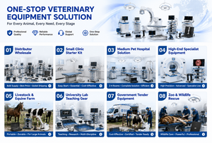 Clinique vétérinaire pour animaux, endoscope vétérinaire portable ultra-fin HD ENT Urologie, appareil de gastroscopie, équipement de diagnostic vétérinaire - Product Image 6