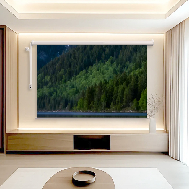 Roll-up Motorized Lift Projector Screen Home Theater Smart Ceiling-mounted Electric Screen Small White