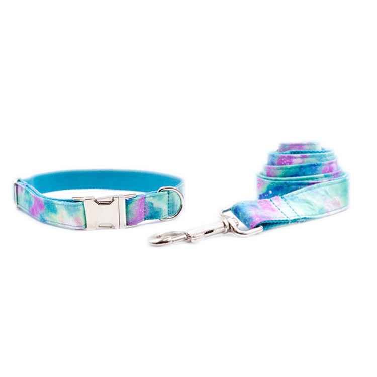collar with leash 4