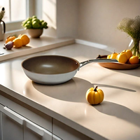 Ensemble de casseroles en acier inoxydable tri-couches 304, série titane fondu, antiadhésif, compatible gaz et induction, poêle de cuisson B