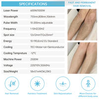 Appareil d'épilation au laser à diode triple onde portable approuvé par la FDA 510K / 755 8081064 Diode Laser Épilation Machine Alex pour clinique Japon