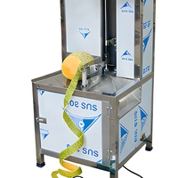 Volledig Automatische Hoge Productiviteit Fruit & Groente Schilmachine 220V 50Hz Enfase voor Jackfruit