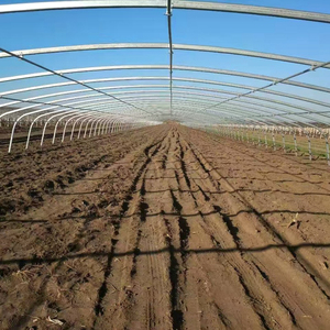 Kit per Agricoltura Protetta con Tunnel in Plastica per Allevamento di Pollame e Lumache, Serra Commerciale - Product Image 6