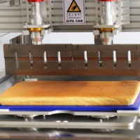 Machine à découper les gâteaux à ultrasons au meilleur prix : formes personnalisées (triangle droit, triangle isocèle, diamant, cercle, carré)