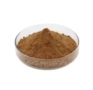 Extracto de Ortiga de Alta Pureza, Extracto de Hoja de Ortiga, Materia Prima para Productos Alimenticios y de Salud - Product Image 2