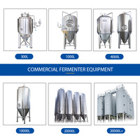Cuve de Fermentation de Bière en Acier Inoxydable 304 de 300L avec Pompe Motorisée, Chauffage Électrique PLC et Réservoir sous Pression pour Micro-Bière