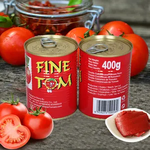 Bulk tomato paste suppliers Superior quality wholesale sauce