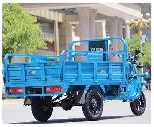 Eaynon 3 Wheel Adult China Electric Cargo Tricycle Truck For Pick Up Goods