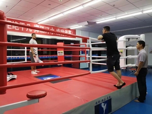 Ring de Boxe Professionnel pour Entraînement en Salle de Sport, avec ou sans Table - Product Image 6