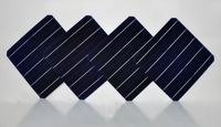 Celda Solar Monocristalina 5BB, Celdas Fotovoltaicas, Precio