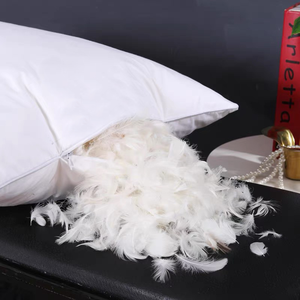 Jual panas bulu angsa bulu alternatif bantal Gusseted Bed Hotel Koleksi bantal untuk tidur - Product Image 4