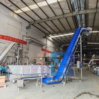 Waterdichte Pu Riem Mobiele Fruitverwerkingsmachine Palmdata Productielijn Data Wassen En Sorteren Transportmachine