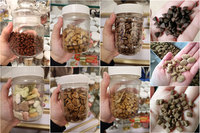 Ligne de production complète automatique d'aliments pour chiens faisant la machine Machine de traitement d'aliments pour animaux de compagnie avec certification CE