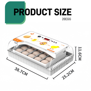Hoàn Toàn Tự Động <span class=keywords><strong>20</strong></span> Trứng Lồng Ấp Cho Gà Chim Cút Vịt Mini Trang Trại Nhà Lồng Ấp Hatching Máy - Product Image 2