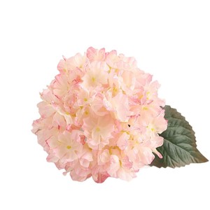 Hortensia artificiel durable de 33 cm en soie à bord brûlé, à tige unique, aux couleurs vibrantes, idéal pour les fêtes et les idées cadeaux - Product Image 6