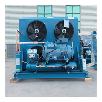 Luchtgekoelde condensorunit met zuigercompressor voor koude opslag, versvriezen, dubbele hoog-efficiënte warmteafvoer