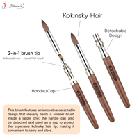 Pinceau professionnel pour nail art en poils de Kolinsky 2-en-1 avec manche en bois de santal détachable pour manucure acrylique avec capuchon portable