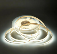 Bande LED blanche réglable chaud-froid 608 LED 10mm DC12V 5m, CRI 90+ double canal pour chambre et meuble TV