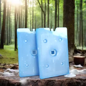 1.000ml geblasen geformter harter Kunststoff Kühlereisziegel PCM-Flüssigkeitskühlereispackungen für Kühlbeutel