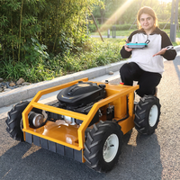 En stock, livraison rapide, tondeuse à gazon à roues de 550 mm, tondeuse à gazon télécommandée pour l'entretien des pelouses en Amérique du Nord