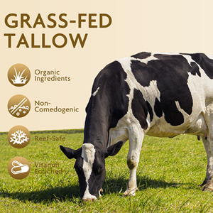 Vendita calda Non Nano minerali ossido di zinco <span class=keywords><strong>SPF</strong></span> <span class=keywords><strong>50</strong></span> <span class=keywords><strong>crema</strong></span> solare acqua <span class=keywords><strong>crema</strong></span> solare balsamo di sego di manzo idratante etichetta privata OEM ODM - Product Image 3