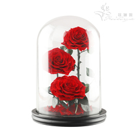 Roses éternelles d'Équateur en gros pour la fête des mères, coffrets cadeaux de bijoux