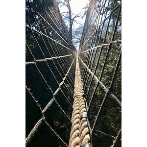 <span class=keywords><strong>Pont</strong></span> de marche en <span class=keywords><strong>corde</strong></span> extérieure courte pour enfants et adultes pour suspendre l'équipement d'amusement - Product Image 4