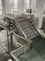 Industriële appel-, groente- en fruitwasserinstallatie, fruitborstelwasapparatuur voor het reinigen van uien