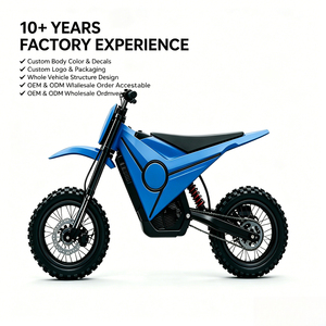 Nouvelle moto tout-terrain de style dirt bike, moto électrique pour adultes, aventure en montagne, 48v 2500W 1214 - Product Image 1