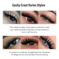 Unimore Marque privée Volume individuel Naturel Vente en gros C D CC DD Cils humides de couleur noire Extension de cils à friser