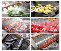 Fruit- en groentewasmachine met bubbelsysteem voor het reinigen van salades, bessen, druiven, paprika's; apparatuur van roestvrij staal voor de voedingsmiddelenindustrie.