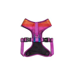 Harnais en maille réglable Prism pour chiens, équipement pour animaux de compagnie couleur arc-en-ciel - Product Image 2