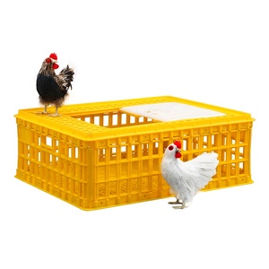 Design robusto in plastica ad alto impatto colori personalizzati 75*55*27 cm sicuro per il trasporto - Product Image 1