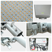 Lámpara LED de Calle de 320W, Iluminación de Alta Gama, Resistente al Agua IP66 para Exteriores, Precio al por Mayor, OEM/ODM