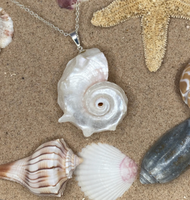 3-5cm Conque Naturelle avec Pendentif en Coquillage de Perles Pendentif Punk Conque Chaîne en Acier Inoxydable Bijoux de Plage d'Été Hawaii