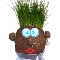Kit DIY Hydroponique : Tête de Poupée pour Plantation de Graines d'Herbe à Chat, Petite Plante Verte en Pot