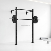 Rig mural personnalisé pour tractions, équipement d'entraînement de force