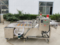 Fruit En Groente Reiniger Machine Tomaat Fruit Wasmachine